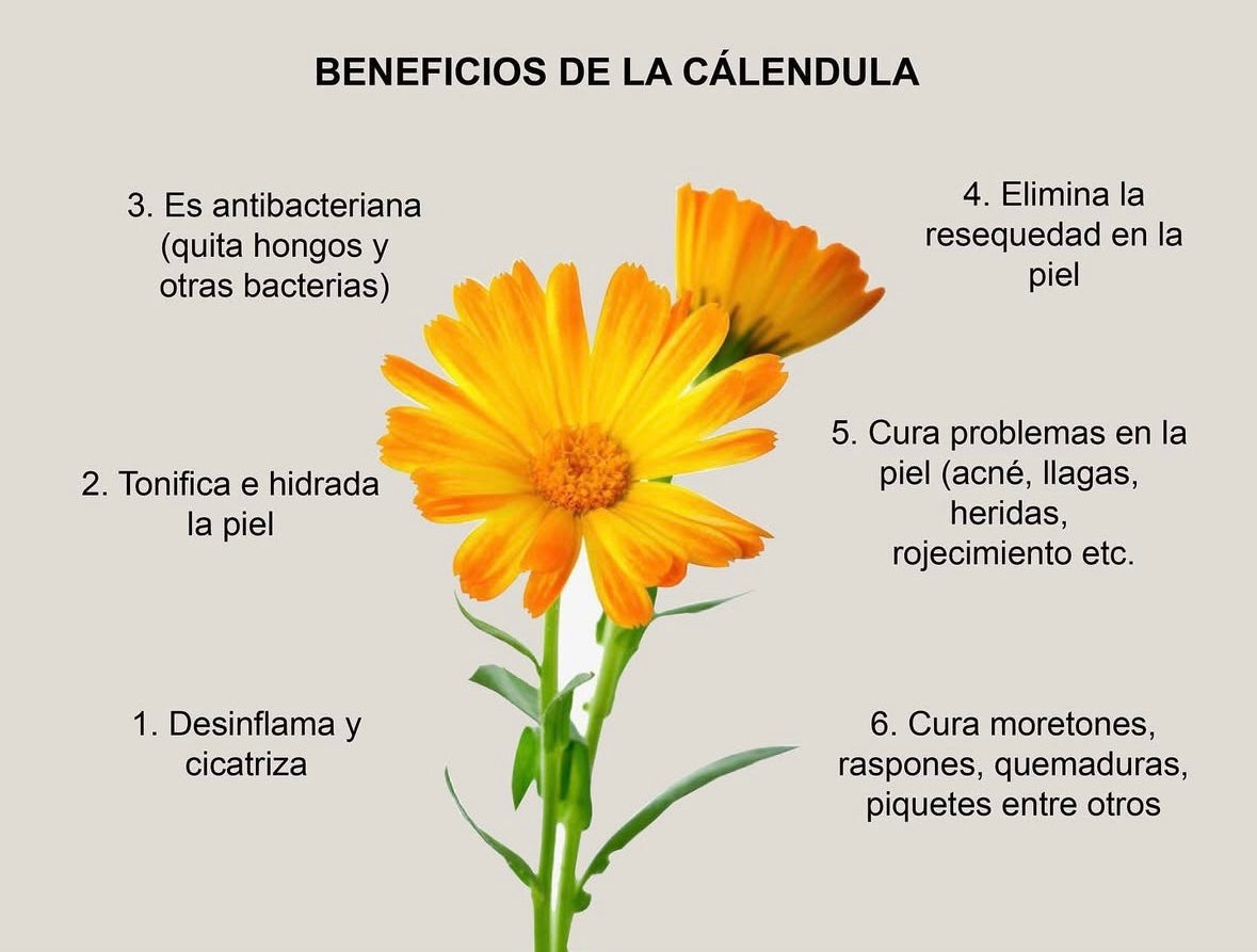 Jabón de caléndula y cúrcuma