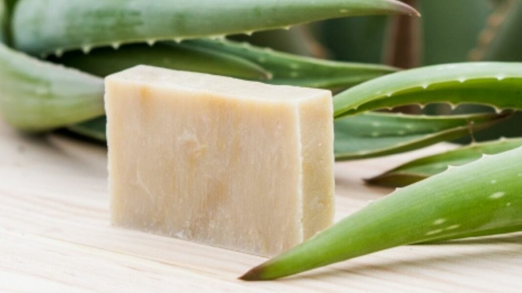 Jabón de sábila y miel de abeja
