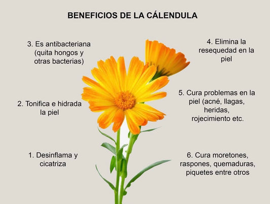 Jabón de caléndula y cúrcuma