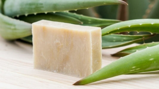 Jabón de sábila y miel de abeja